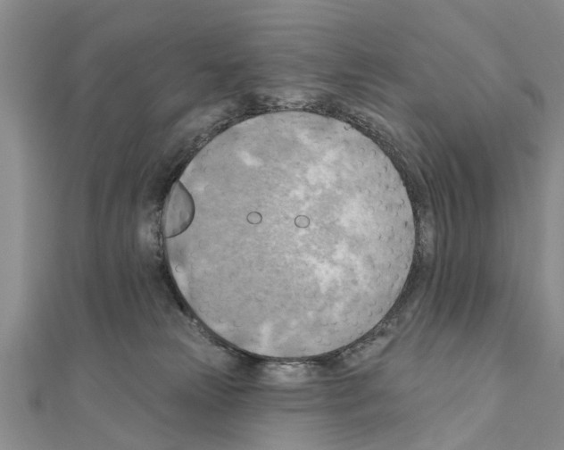 X0000111040181200908061504