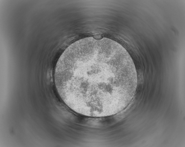 X0000111040182200908061504