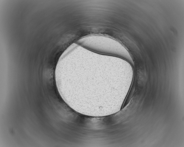 X0000111040184200908061504