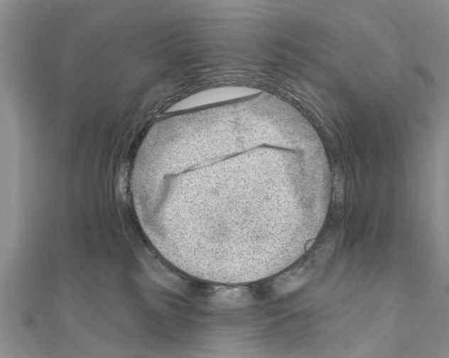 X0000111040185200908061504