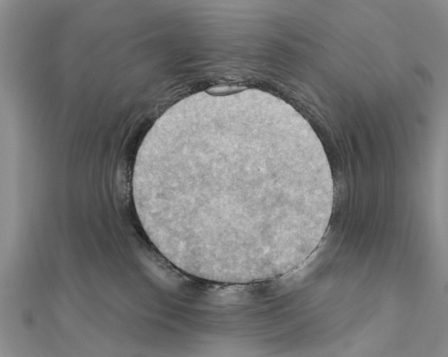 X0000111040186200908061504