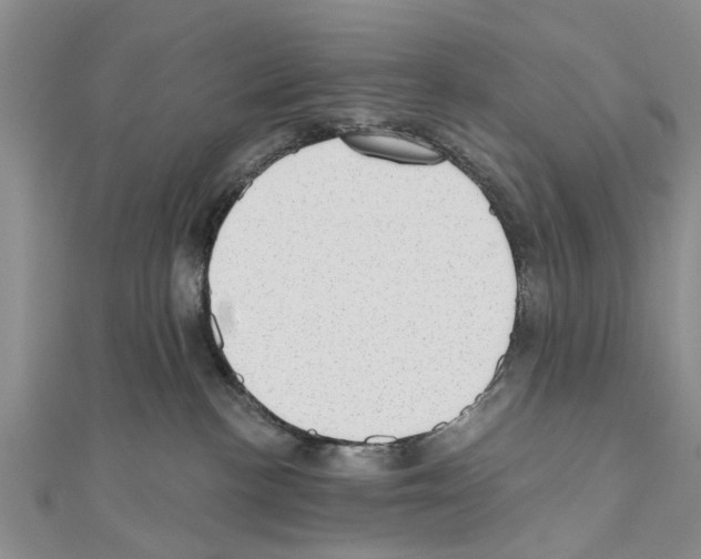 X0000111040188200908061504