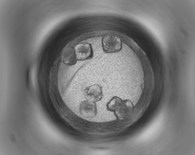 X0000111040189200908061504