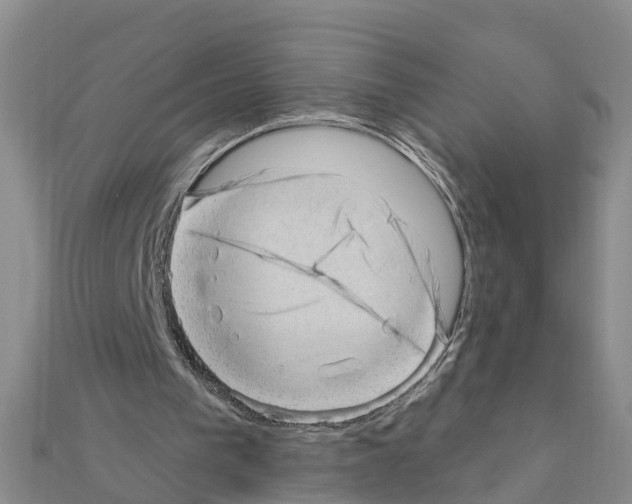 X0000111040193200908061503