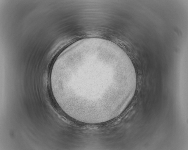 X0000111040194200908061503