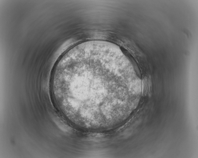 X0000111040195200908061503