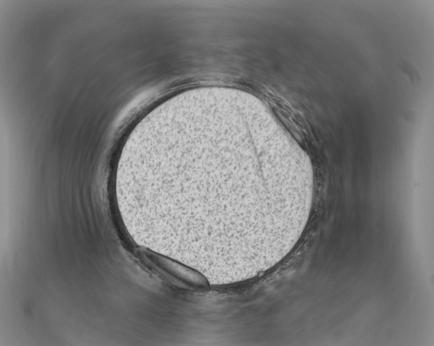 X0000111040197200908061503