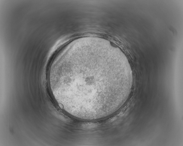 X0000111040198200908061503