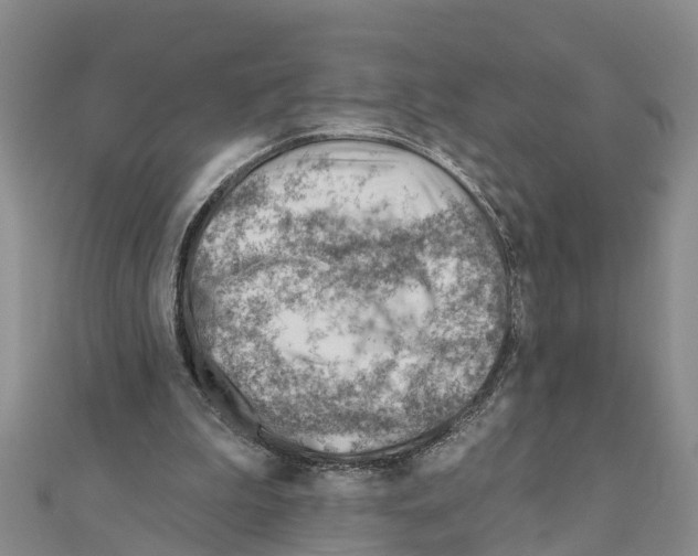 X0000111040199200908061503