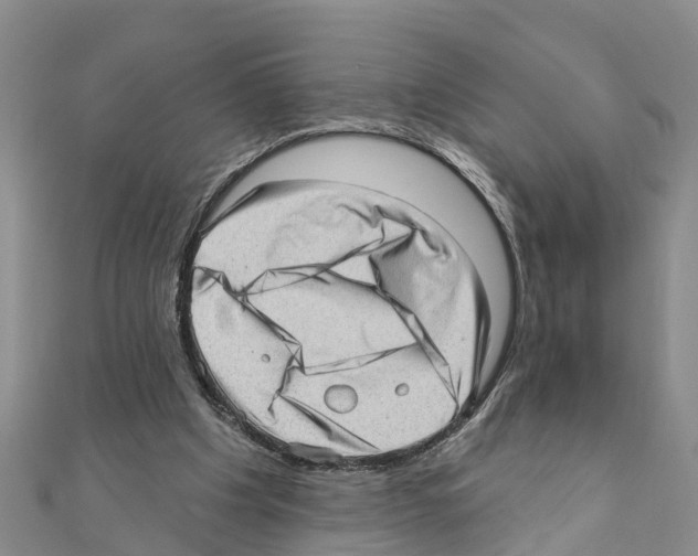 X0000111040201200908061503