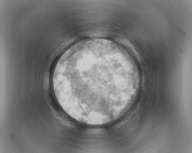 X0000111040202200908061503