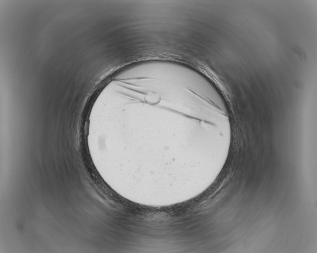 X0000111040203200908061503