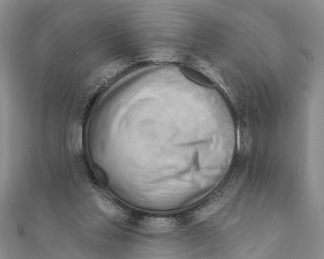 X0000111040205200908061503