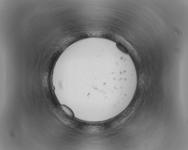 X0000111040209200908061503