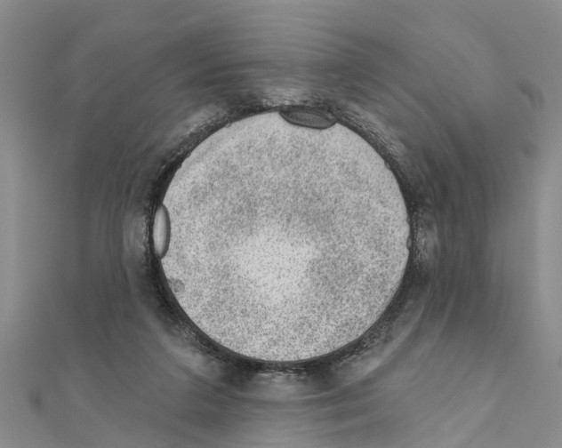 X0000111040211200908061503