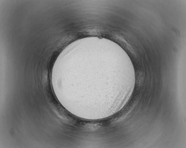 X0000111040213200908061503