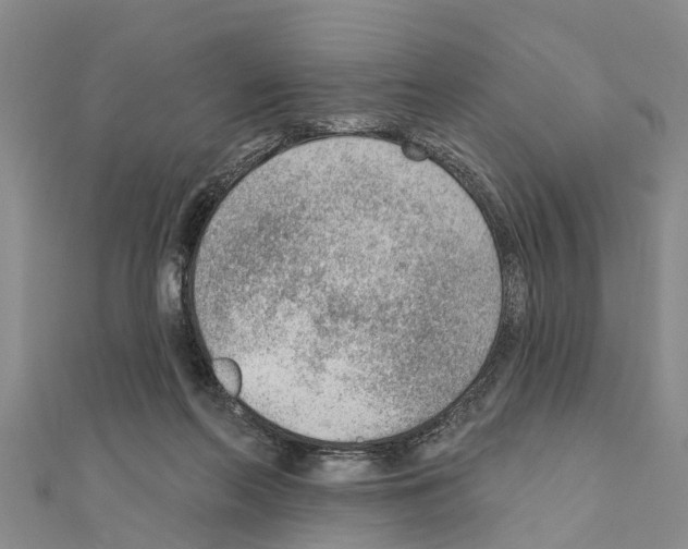 X0000111040214200908061503