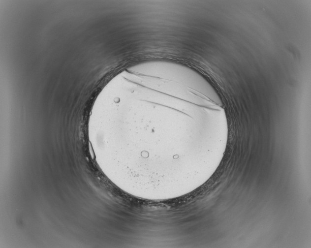 X0000111040215200908061503