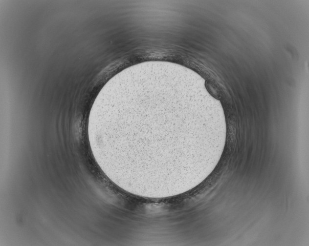 X0000111040216200908061503