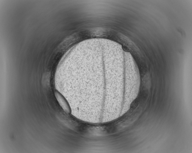 X0000111040217200908061503