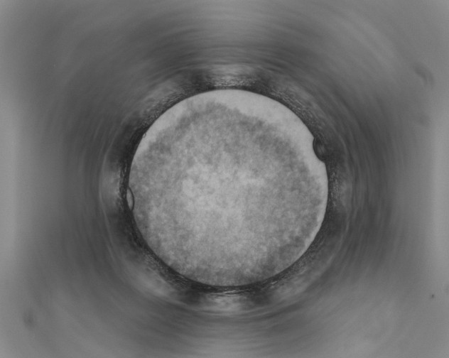 X0000111040219200908061503