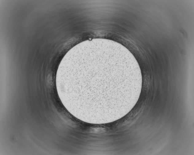 X0000111040220200908061503