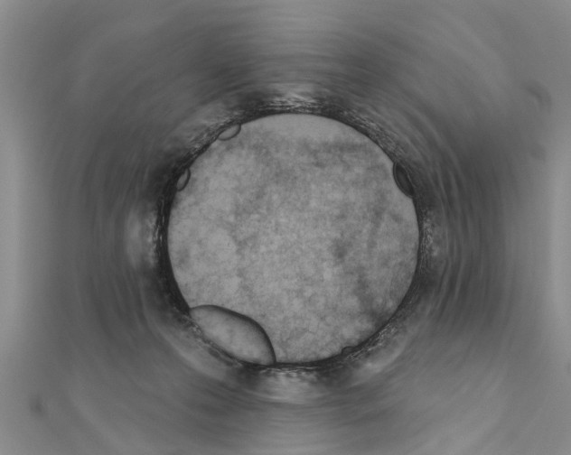 X0000111040223200908061503