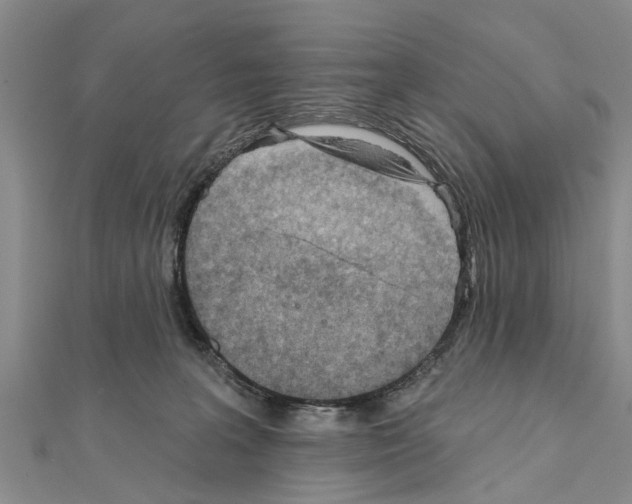 X0000111040227200908061503