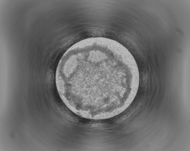 X0000111040228200908061503