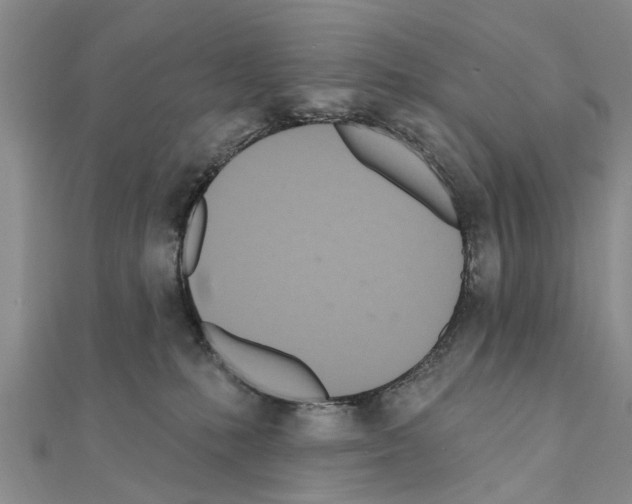 X0000111040231200908061503