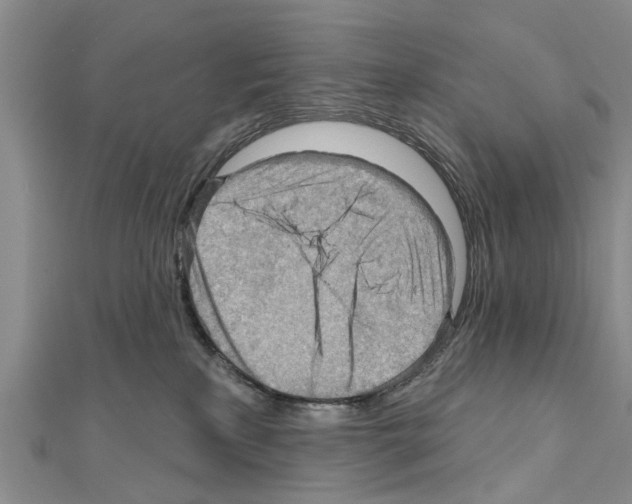 X0000111040233200908061503