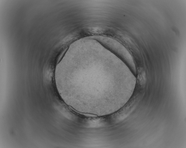 X0000111040235200908061503