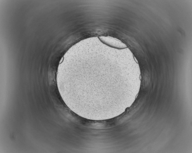 X0000111040236200908061503