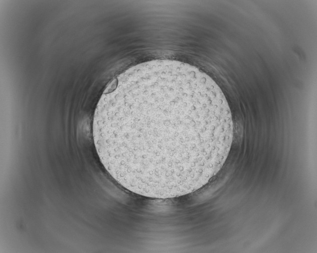 X0000111040238200908061503