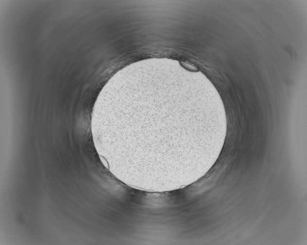 X0000111040240200908061503