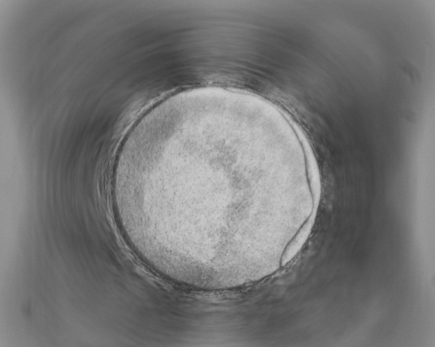 X0000111040241200908061502