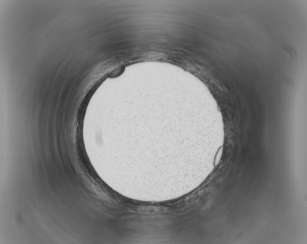 X0000111040242200908061502