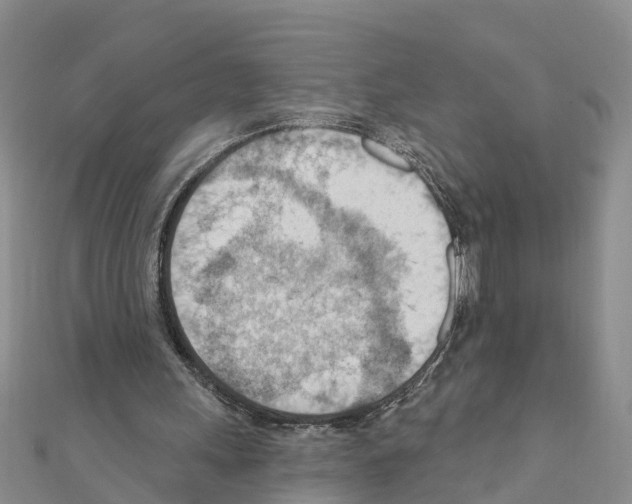 X0000111040243200908061502