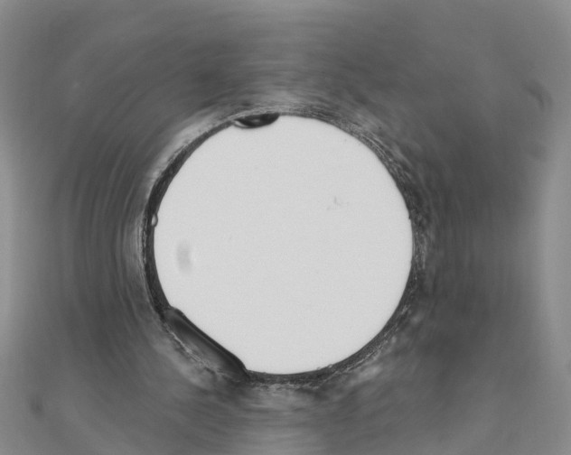 X0000111040244200908061502