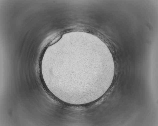 X0000111040245200908061502