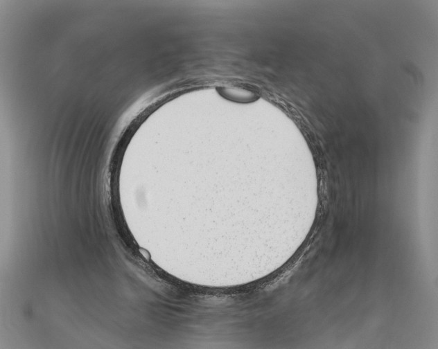 X0000111040246200908061502