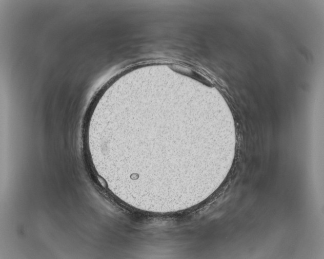 X0000111040248200908061502