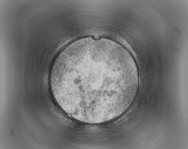 X0000111040249200908061502