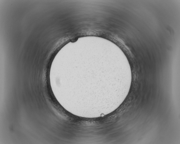 X0000111040250200908061502