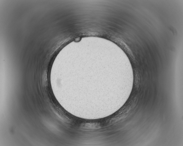 X0000111040251200908061502