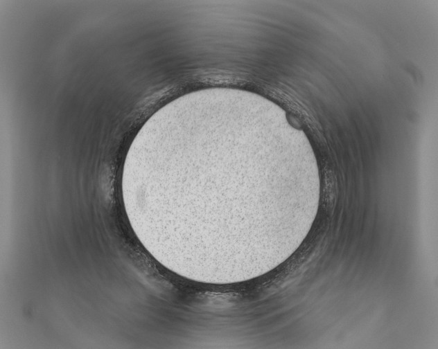 X0000111040255200908061502