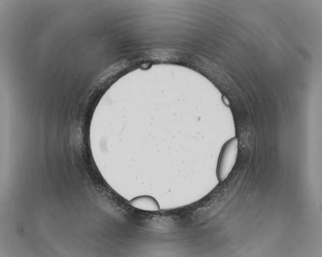 X0000111040256200908061502