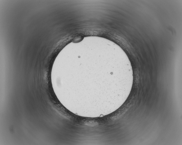 X0000111040258200908061503