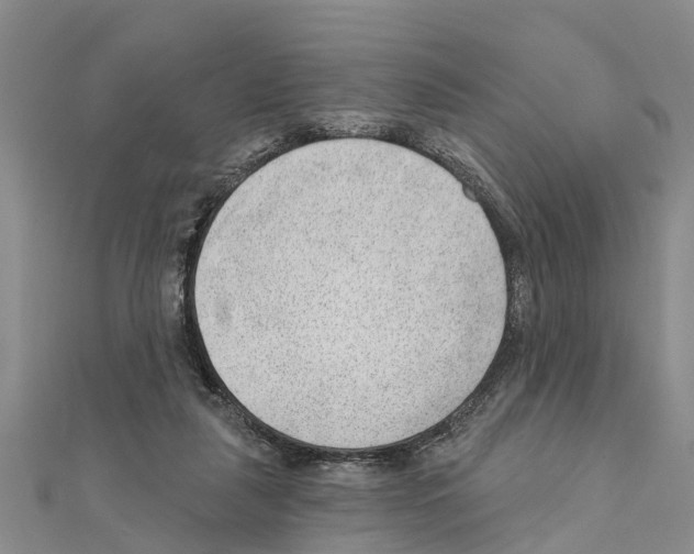 X0000111040259200908061503