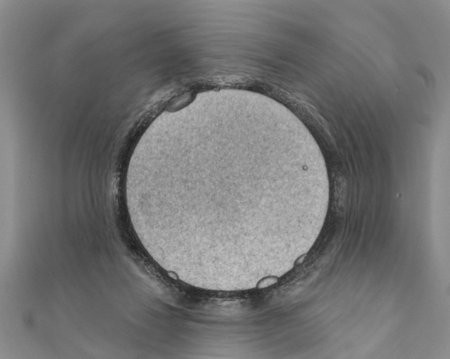 X0000111040260200908061503